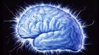 Furii Canes - Stanje uma