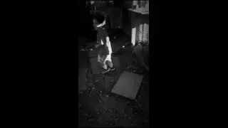 Gabriel the Chicken Bully!!!!