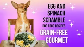 🐶 Spinach and Egg Scramble | Grain Free Gourmet Dog Food #dogdiet #dogfoodrecipe #grainfree