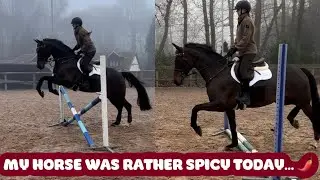 MY YOUNG HORSE WAS FIESTY DOING THIS EXERCISE….