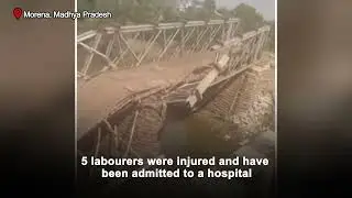 Over 100-year-old bridge collapses during dismantling in MP, 5 workers injured