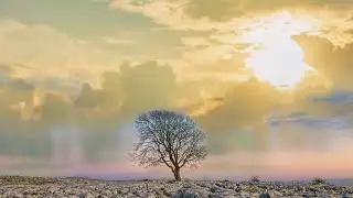 ALONE WITH JEHOVAH | Relaxing Meditation Music | Christian Healing Worship