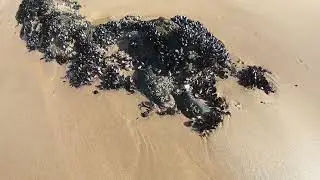 Arch Rock beach walk, Keurboomstrand, Garden Route South Africa