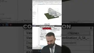 Revit Export Secrets: Coordination Models Demystified!