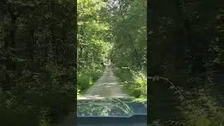 Aux Sable Cemetery &ndash; Illinois&rsquo; Forgotten Spirits Still Linger PT1 #viral #haunted #cemetery
