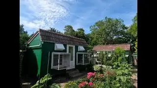 Aankomst duiven 25 juni 2022