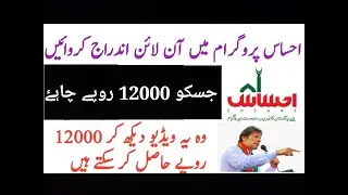How to fill Ehsaas Program form Online . Get 12000 Rs From Government of Pakistan