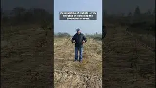 Parali (Stubble) is good for soil regeneration