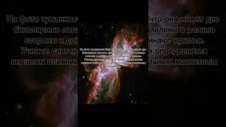NGS 6302 #космос #туманность #бабочка #жук #space