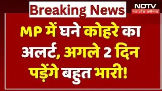 MP Weather Alert: घने कोहरे का अलर्ट, अगले 2 दिन पड़ेंगे बहुत भारी! | Cold Wave | MP | Winter | Top