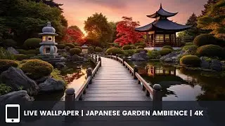 Live Wallpaper | Japanese Garden Ambience | 4k