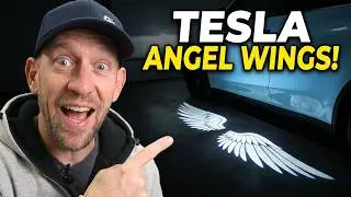 I Installed Angel Wing Puddle Lights on My Tesla | Here's What Happened