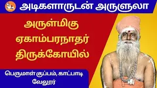 அடிகளாருடன் அருளுலா 18.01.2026 #அடிகளாருடன்அருளுலா#இனியநாள் #பேரூர்ஆதீனம்#perur_aadheenam#utvbhakthi
