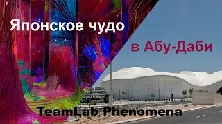 TeamLabPhenomena-Границы стираются.Искусство дышит. Пространство чувствуется.Смотри, слушай, ощущай.