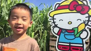 Tanaka Farms Sanrio Pumpkin Patch with Hello Kitty (bonus footage)