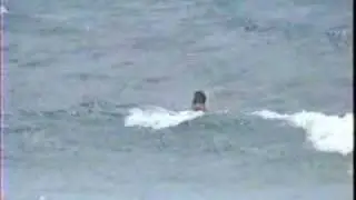 Bodyboarding the North Shore of Oahu