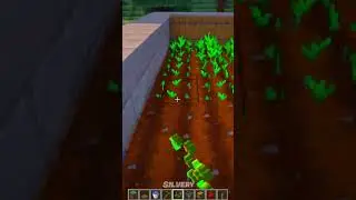 Minecraft: Automatic Wheat Farm | #shorts