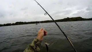 Spinning freaks on the water (video for the persistent - the sound of the gale)