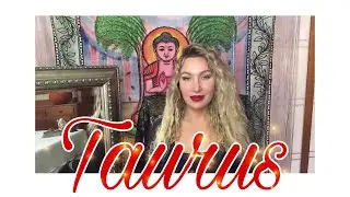 TAURUS‼️ NEW BEGINNING IN LOVE! ❤️ | November 2019 Tarot & Mini Love Reading