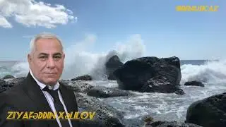 Ziyafəddin Xəlilov gözəl muğam ifası #mugam #segah #şeir