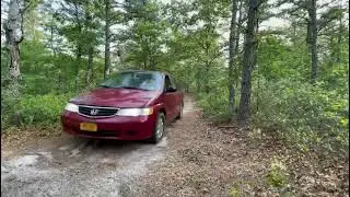 Bass River State Park camping, mushroom hunting n off roading in our Honda Odyssey campervan