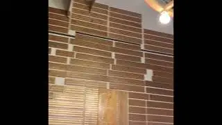 50,000 Silver Dollar Bar