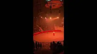 Noël gaulois au parc Astérix 2024 (partie 2)