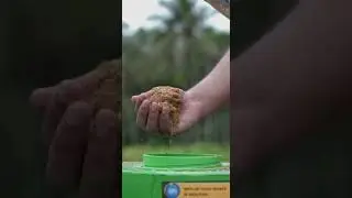 scrappy kitchen waste digester / ഇനി നമ്മുടെ വീടും പരിസരവും  നമുക്ക് തെന്നെ വൃത്തിയാകാം 👈