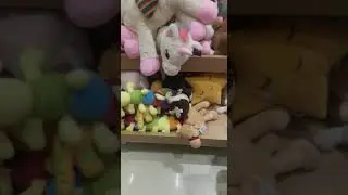 Cute Ira & Indra playing with toys #viral #shorts #trendingvideo #viralvideo #trending
