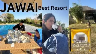 Exploring the hidden gem of Rajasthan| Best resort in Jawai @JawaisWildnessLodge