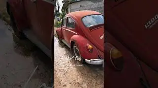 Precisando de amor | In need of love #vwbeetle #fusca #fuscalovers