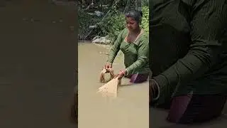 Amazing Village Women net fishing #shorts #fishing