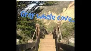 GRAY WHALE cove aerial FOOTAGE