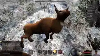Savage Lands Day 1 Walkthrough