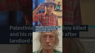 Palestinian-American boy killed and his mother injured after landlord stabs them