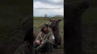Финансовый отчёт приюта с 1 апреля 👇
