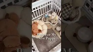 New Puppy Prep 🤍 #newpuppy #asmr #dogmom #puppy #organizedhome #cleaningmotivation