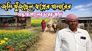 এত সস্তা জমি? 😱 শত শত বিঘা চোখের সামনে!village life 