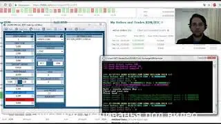 ✔ Обновленный бесплатный бот для торговли на HitBtc Free BOT 2020