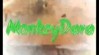 Offizielles Intro