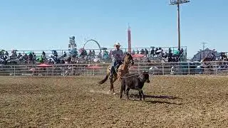 #10 командное катание на ярмарке Северного Навахо #smallyoutuber #rodeo #teamroping #shiprockfair
