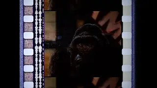Mighty Joe Young Trailer (1998) - 35mm - Flat (Dual Aspect) - Stereo
