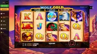 Wolf Gold казино PlayAmo