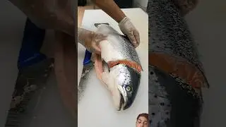 Amazing fish cutting skills #fillet #salmon #fish #seafood #fishing #satisfying #knifeskills