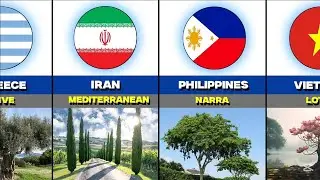 All Countries National Trees