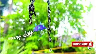 #Rainy day ⛈️🌧️#  video by Jacob Ryan #nature #photography #naturecinematic #ipo15promax #cinematic