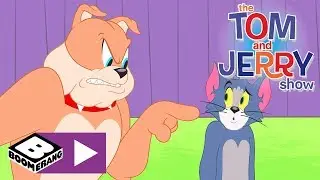 Tom și Jerry | Controlul furiei | Cartoonito