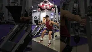 Chest Fly Machine Variations (KNOW THE DIFFERENCE!)