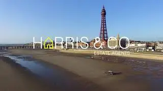 Harris & Co