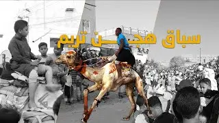 سباق الهجن فعالية سنوية في تريم حضرموت